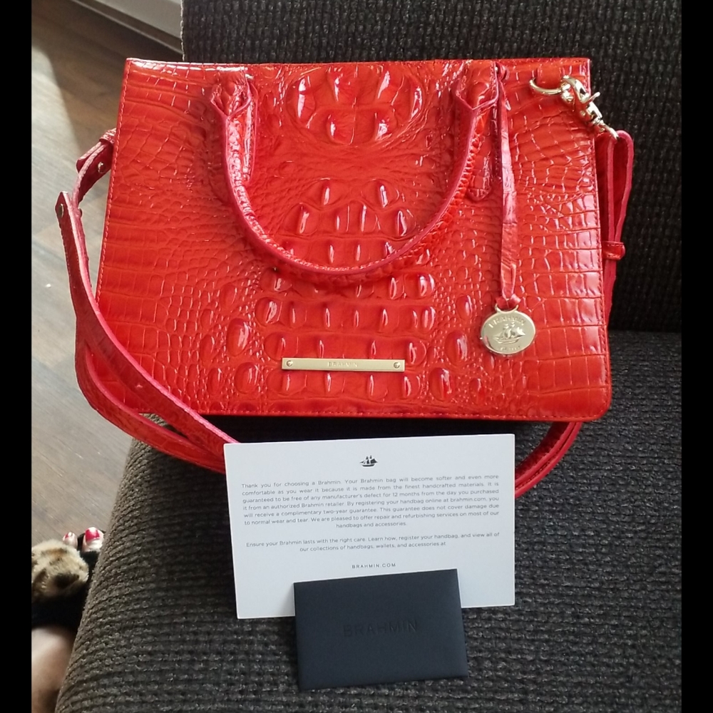 Brahmin small camille